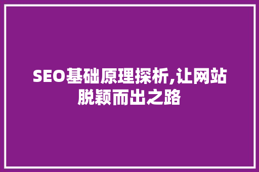 SEO基础原理探析,让网站脱颖而出之路
