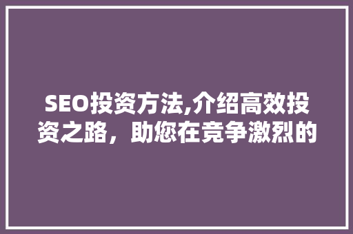 SEO投资方法,介绍高效投资之路，助您在竞争激烈的市场中脱颖而出