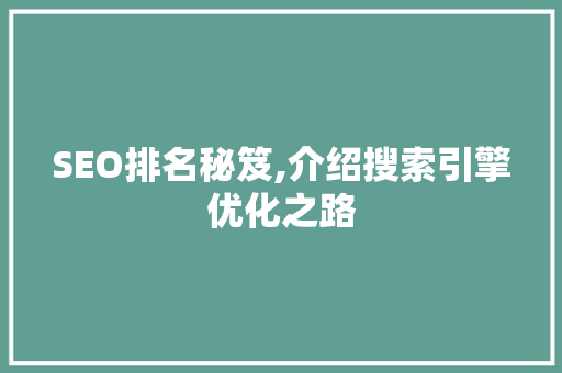 SEO排名秘笈,介绍搜索引擎优化之路