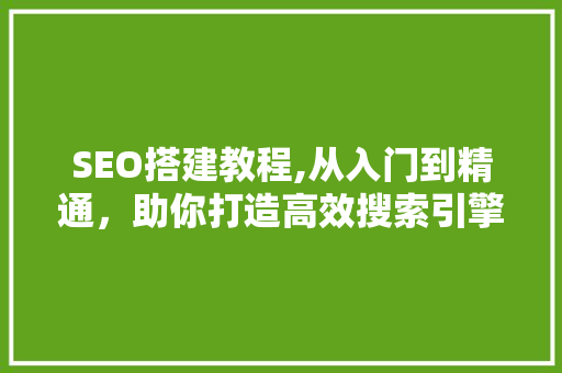 SEO搭建教程,从入门到精通，助你打造高效搜索引擎优化步骤