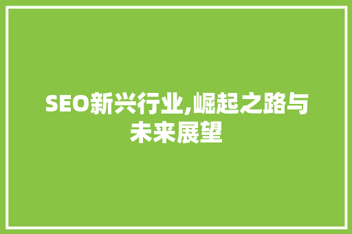 SEO新兴行业,崛起之路与未来展望