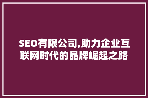 SEO有限公司,助力企业互联网时代的品牌崛起之路
