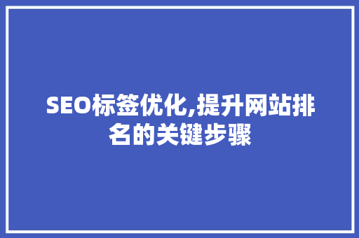 SEO标签优化,提升网站排名的关键步骤