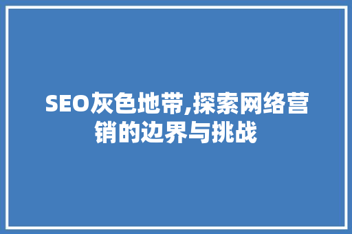 SEO灰色地带,探索网络营销的边界与挑战