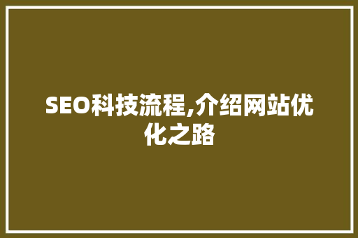 SEO科技流程,介绍网站优化之路