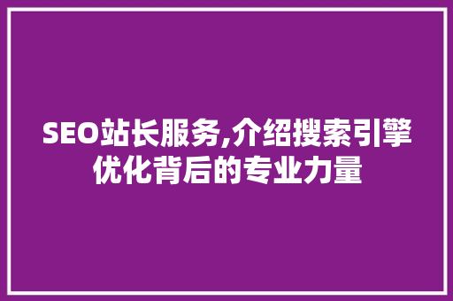 SEO站长服务,介绍搜索引擎优化背后的专业力量