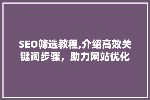 SEO筛选教程,介绍高效关键词步骤，助力网站优化
