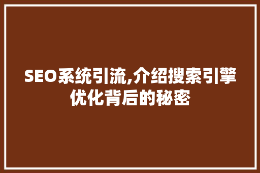 SEO系统引流,介绍搜索引擎优化背后的秘密