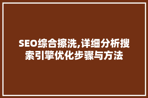 SEO综合擦洗,详细分析搜索引擎优化步骤与方法