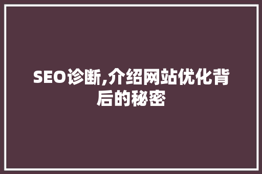 SEO诊断,介绍网站优化背后的秘密