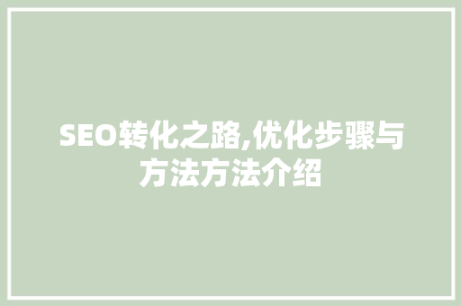 SEO转化之路,优化步骤与方法方法介绍