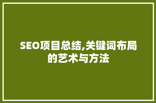 SEO项目总结,关键词布局的艺术与方法