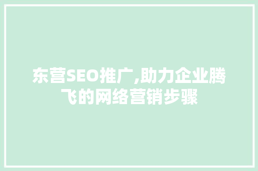 东营SEO推广,助力企业腾飞的网络营销步骤
