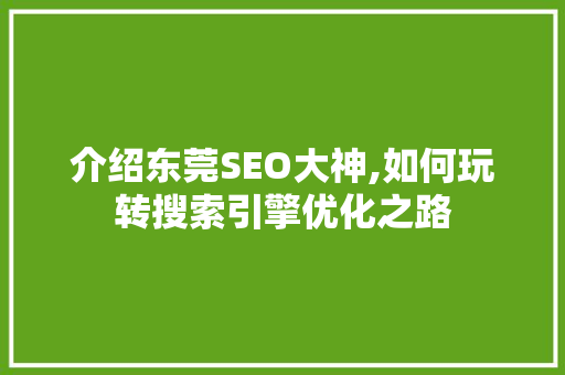 介绍东莞SEO大神,如何玩转搜索引擎优化之路