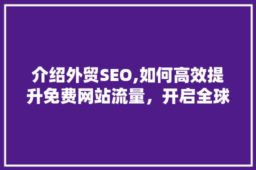 介绍外贸SEO,如何高效提升免费网站流量，开启全球化市场新篇章