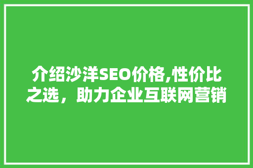 介绍沙洋SEO价格,性价比之选，助力企业互联网营销