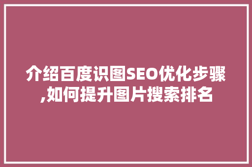 介绍百度识图SEO优化步骤,如何提升图片搜索排名
