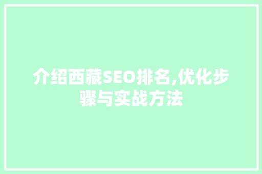 介绍西藏SEO排名,优化步骤与实战方法 WordPress教程