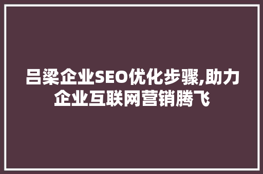 吕梁企业SEO优化步骤,助力企业互联网营销腾飞