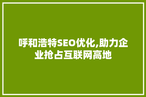 呼和浩特SEO优化,助力企业抢占互联网高地