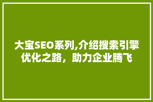 大宝SEO系列,介绍搜索引擎优化之路，助力企业腾飞