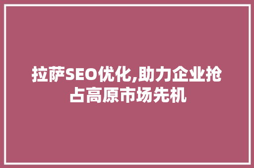 拉萨SEO优化,助力企业抢占高原市场先机