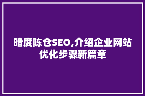 暗度陈仓SEO,介绍企业网站优化步骤新篇章