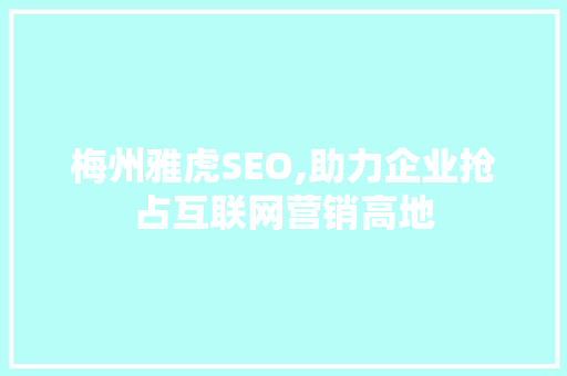 梅州雅虎SEO,助力企业抢占互联网营销高地
