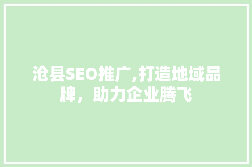 沧县SEO推广,打造地域品牌，助力企业腾飞