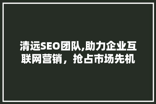 清远SEO团队,助力企业互联网营销，抢占市场先机