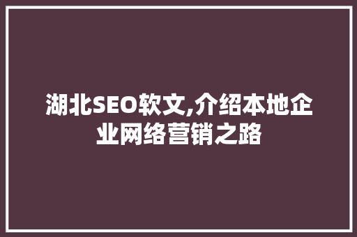 湖北SEO软文,介绍本地企业网络营销之路