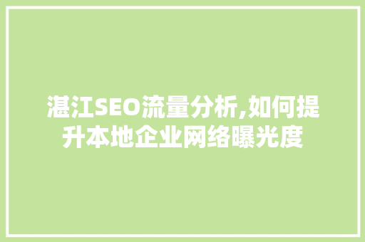 湛江SEO流量分析,如何提升本地企业网络曝光度