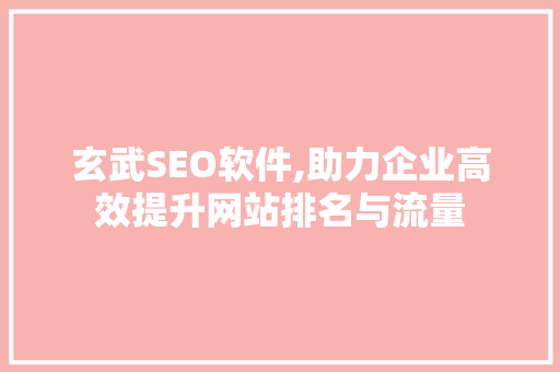 玄武SEO软件,助力企业高效提升网站排名与流量