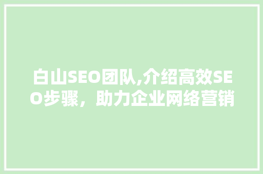 白山SEO团队,介绍高效SEO步骤，助力企业网络营销腾飞