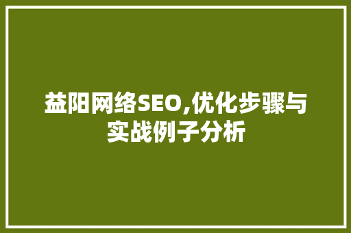 益阳网络SEO,优化步骤与实战例子分析