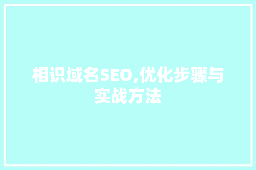 相识域名SEO,优化步骤与实战方法