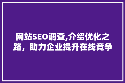 网站SEO调查,介绍优化之路，助力企业提升在线竞争力