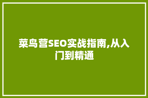 菜鸟营SEO实战指南,从入门到精通
