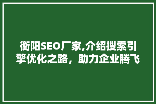 衡阳SEO厂家,介绍搜索引擎优化之路，助力企业腾飞