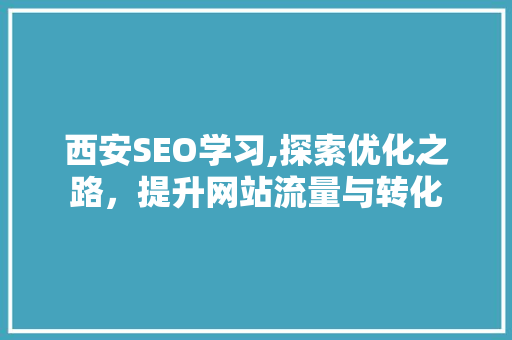 西安SEO学习,探索优化之路，提升网站流量与转化