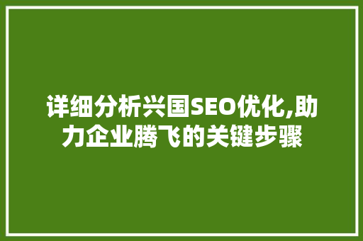 详细分析兴国SEO优化,助力企业腾飞的关键步骤