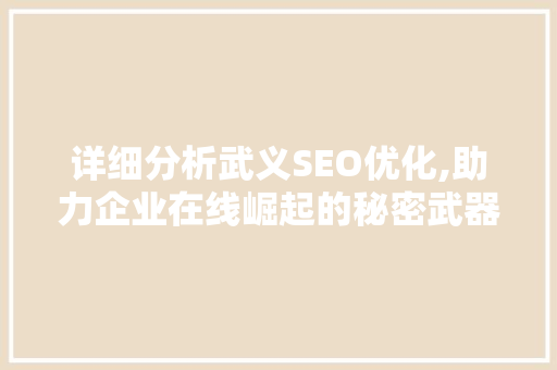 详细分析武义SEO优化,助力企业在线崛起的秘密武器