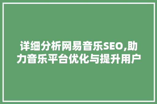 详细分析网易音乐SEO,助力音乐平台优化与提升用户体验