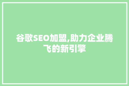 谷歌SEO加盟,助力企业腾飞的新引擎