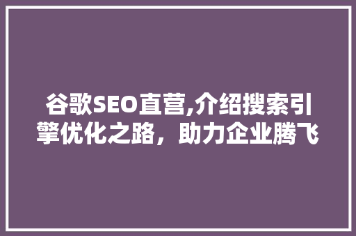 谷歌SEO直营,介绍搜索引擎优化之路，助力企业腾飞