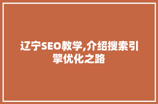 辽宁SEO教学,介绍搜索引擎优化之路
