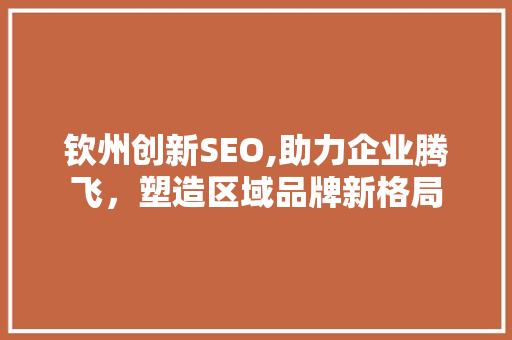 钦州创新SEO,助力企业腾飞，塑造区域品牌新格局