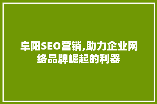 阜阳SEO营销,助力企业网络品牌崛起的利器