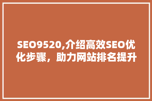 SEO9520,介绍高效SEO优化步骤，助力网站排名提升