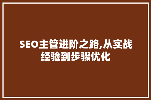 SEO主管进阶之路,从实战经验到步骤优化 SEO教程